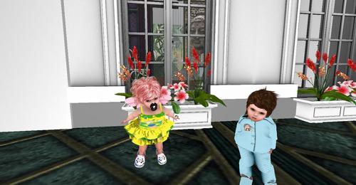 Web 5b8471f073ed177c44000001