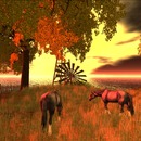 Thumb 5630a985f8a1ec0b3d000001