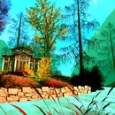 Thumb 5638a216f8a1ec5b7c000001