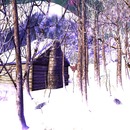 Thumb 58429313f8a1ec4587000001