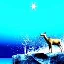 Thumb 58509b86e85cda5aed000001