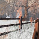 Thumb 5863d204f8a1ec7834000001