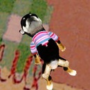 Thumb 53871a6b128cc95bb9000001