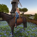 Thumb 5741923cb713f74496000001