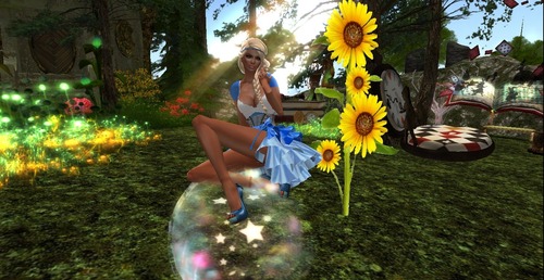 Web 5371dda2128cc96922000001