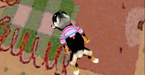 Web 53871a6b128cc95bb9000001