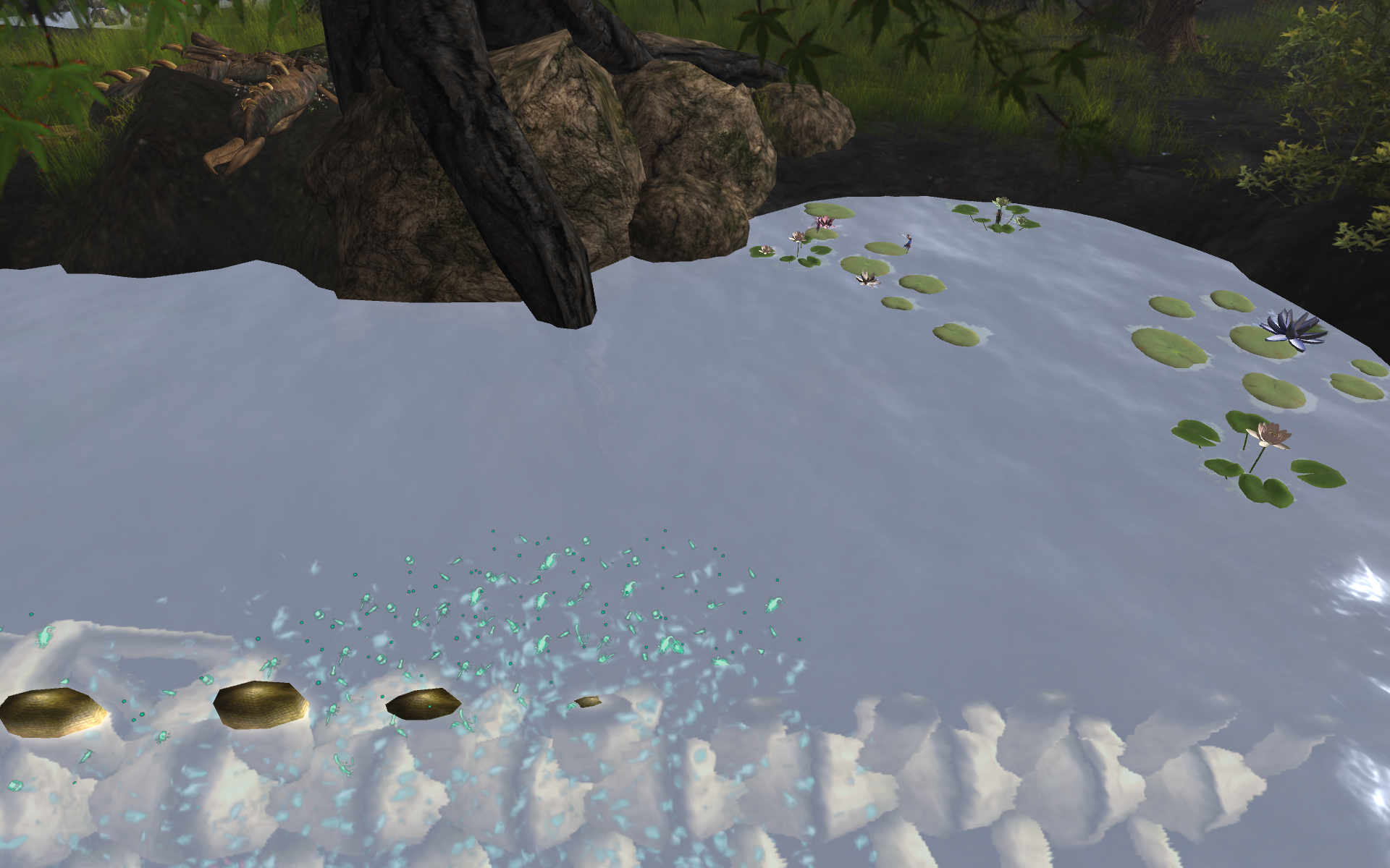 Original 5aa3b1aad9859c204a000001