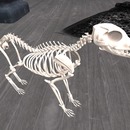 Thumb 580edca9b015402d09000001