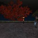 Thumb 5aa4c7eed774f8200c000001