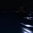 Thumb 5e577351289dd264e31fef2a