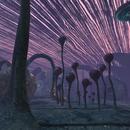 Thumb 6018ae16fc1a212089af4762