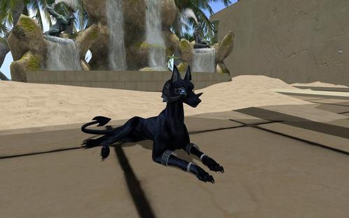 Web 5d3e8dd9d9859c79fd000001