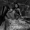 Thumb 5a0a051dd774f80945000001