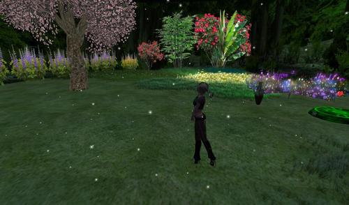 Web 5c0e2745d9859c69a7000001