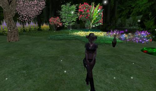 Web 5c0e2793289dd21dde000001