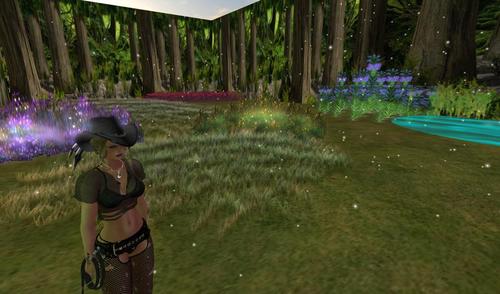 Web 5c0e27fad9859c6f50000001