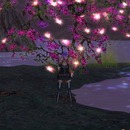 Thumb 56ba74a3f8a1ec302c000001