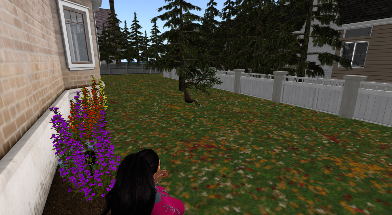 Original 59bb4ff9d9859c65da000001