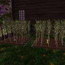 Thumb 5a9f2797d774f826e4000001