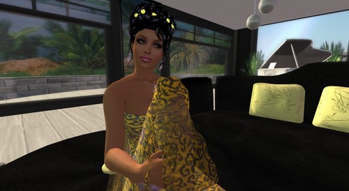 Web 53ad809da73e213d69000001