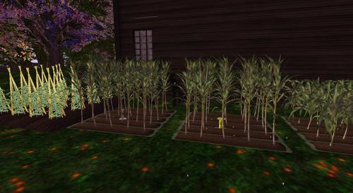 Web 5a9f2797d774f826e4000001