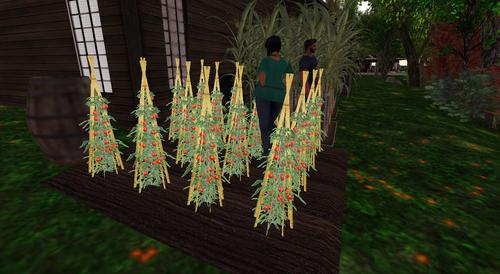 Web 5aa227bfd9859c4f48000001