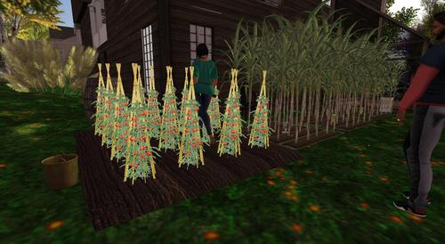 Web 5aa2283c289dd22e27000001