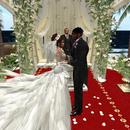 Thumb 5c10466a289dd2335c000001