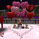 Thumb 5c658fd5d9859c5ac1000001