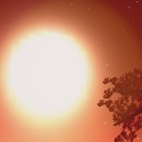 Thumb 588d478db713f7324e000001