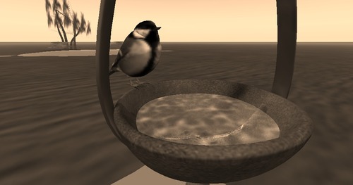 Web 58c4b708f8a1ec21a8000001