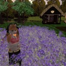 Thumb 55da101bf8a1ec01f2000001