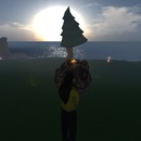 Thumb 55ede2da128cc92b11000001