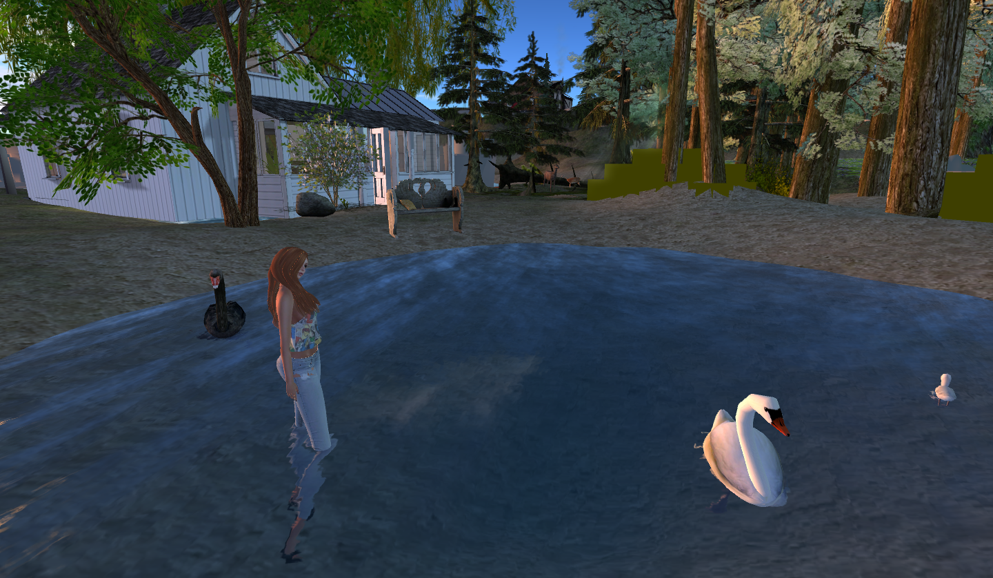 Original 5889222cb015404de1000001