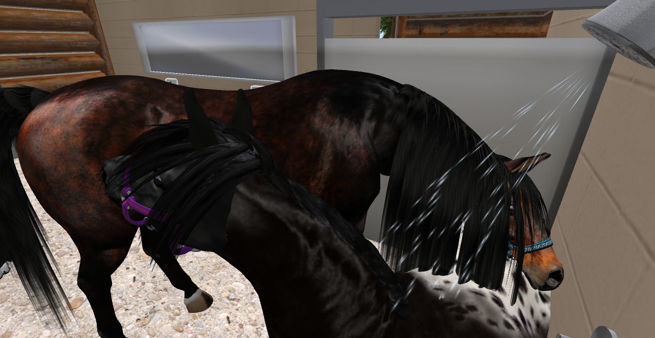 Original 536abb7a128cc94f42000001