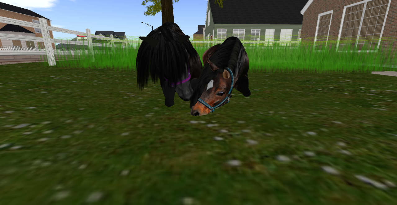 Original 536b00dc8da57213f1000001