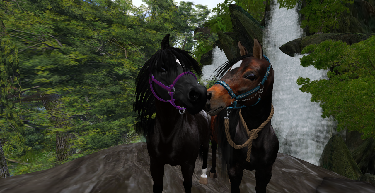 Original 53a87f31f8a1ec2708000001