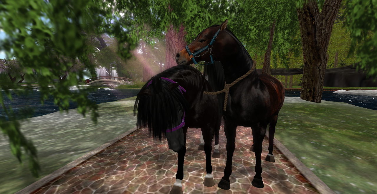 Original 53a89e618da5721808000001