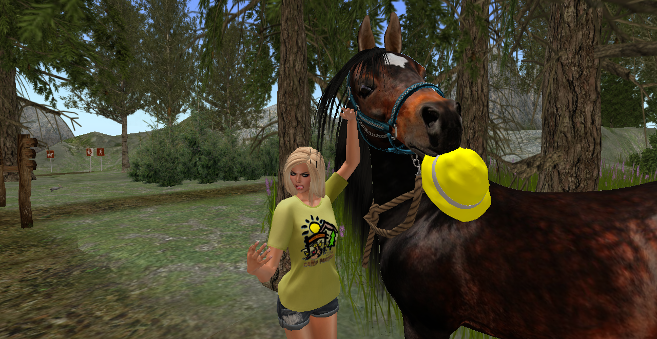 Original 53dd47b5a73e215c38000001