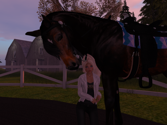 Original 5c05bd0b289dd266fe000001