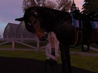 Small 5c05bd0dd9859c6f93000001