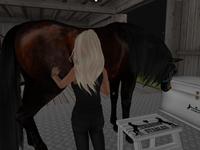 Small 5c93ebf173ed173284000001