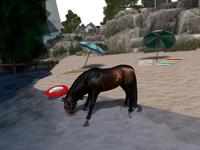 Small 5d5b254673ed173d24000001