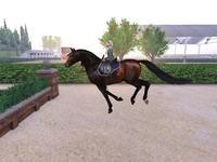 Small 5e47195ed774f82312bec4ec