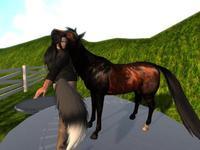 Small 5ef6d0c7d9859c2774f23c6a