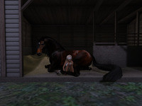 Small 6343206bbcf8607aa39dac6a