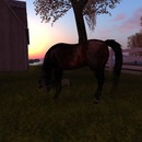 Thumb 58028438f8a1ec71ba000001