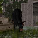 Thumb 5bf8a00773ed174df5000001