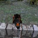 Thumb 5bf8a12973ed1755f8000001