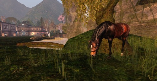 Web 52ff36348da5724c34000001